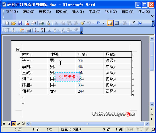 wordɾ