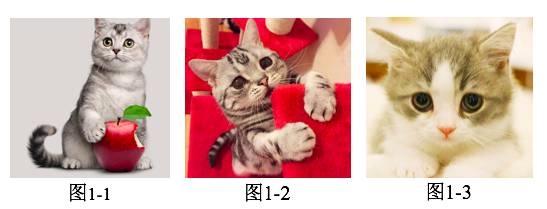 wordѧϰ
