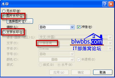 wordˮӡԼɾˮӡ