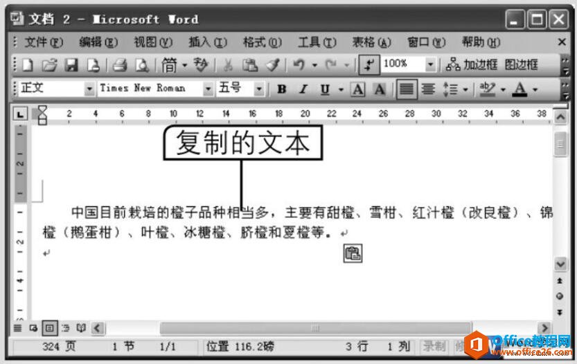 word2003ճıķ