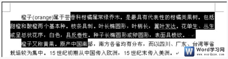 word2003ѡľ巽