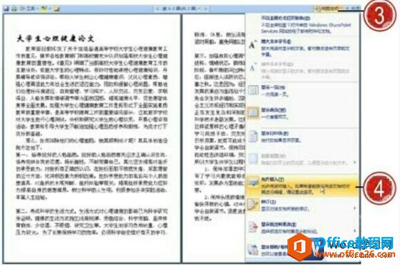 word2007ͼѡ˵