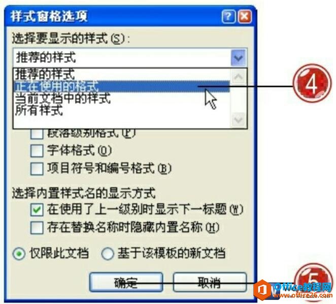 word2007ʽѡ