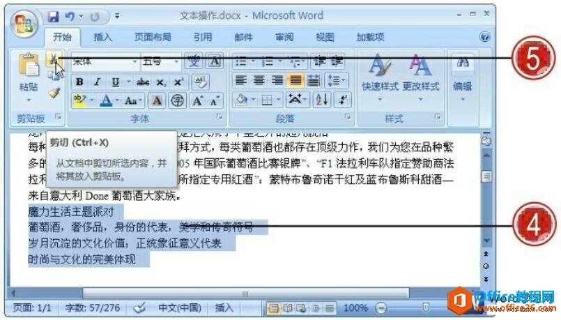 word2007ƶı