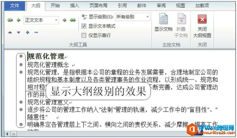 word2010ѡ