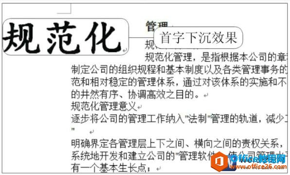 word 2010 ³