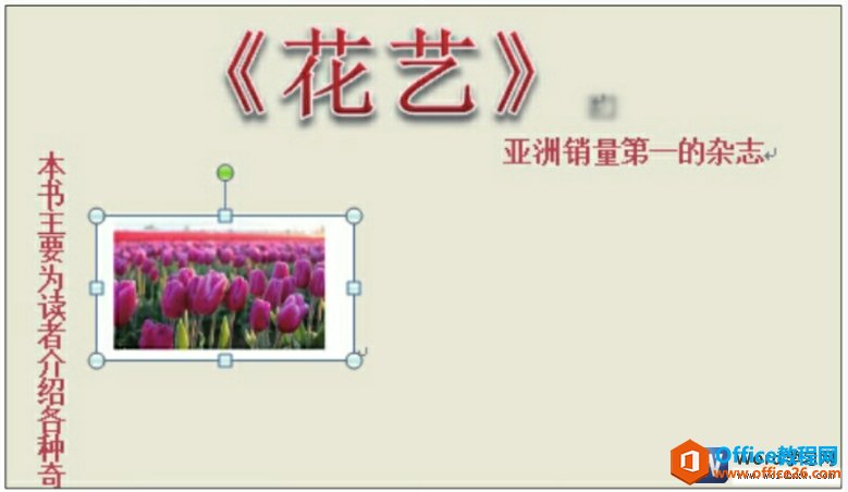 wordͼ뵽wordĵ