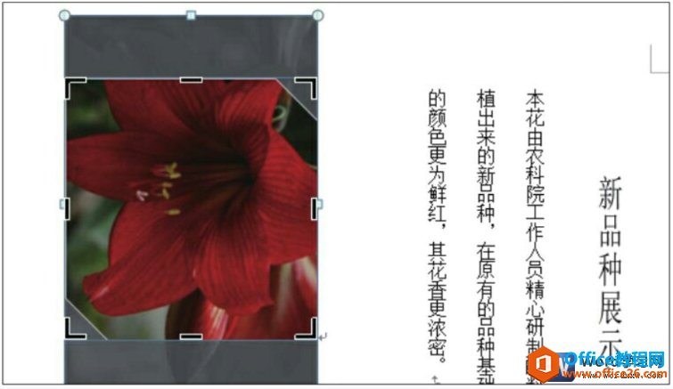 word2010ü״̬