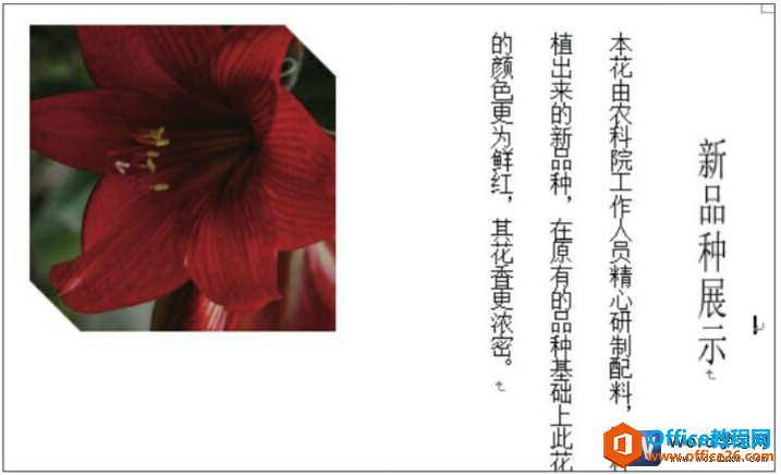 word2010ͼƬüЧ