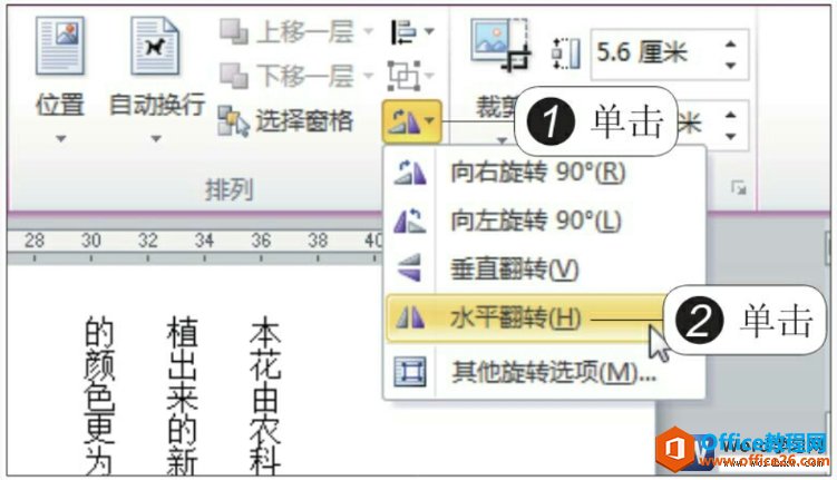 word2010ͼƬת