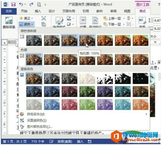 word2013ͼƬͶ
