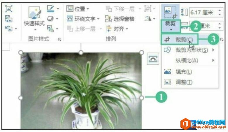 word2016üͼƬ
