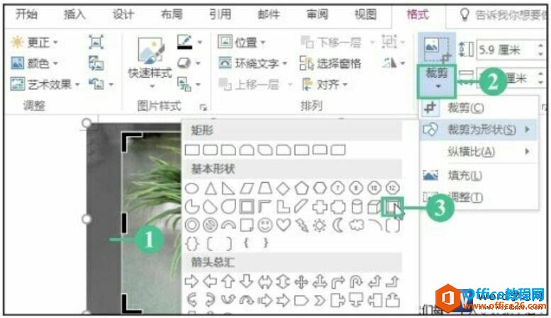 word 2016üͼƬ