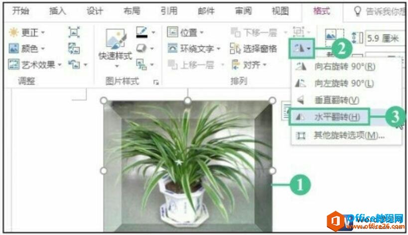 word2016ĵеͼƬнǶȽת