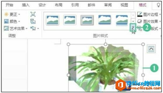 word 2016ͼƬʽ