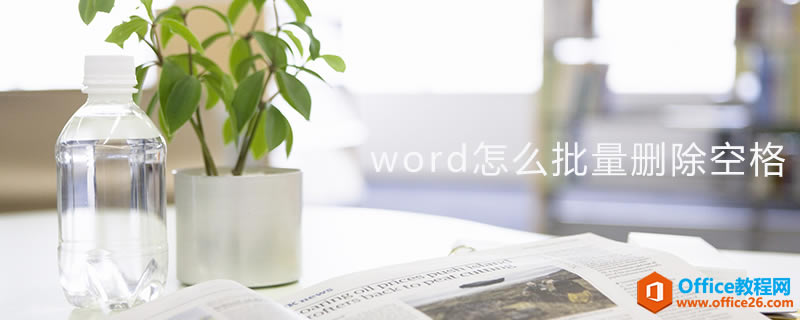 word ظһݼɶ