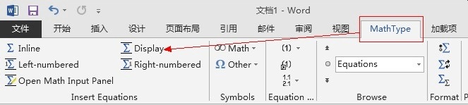 MathTypeѡ