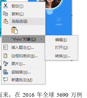 Word 2016Visio ޷򿪵