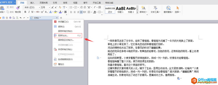 WPS,WORD,wpsתword,wpsôתword
