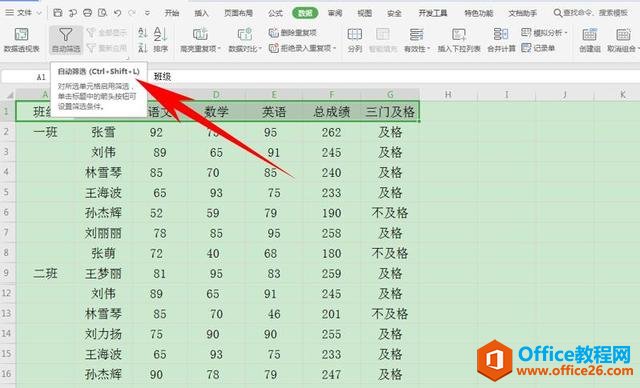 WPS  Excel 