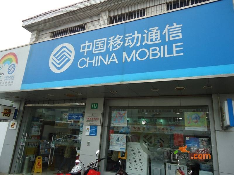 ڲѯ_ѯ_ƶڲѯ