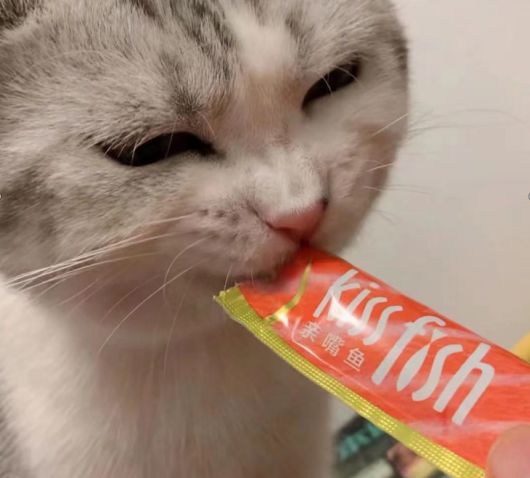 ζûҺ