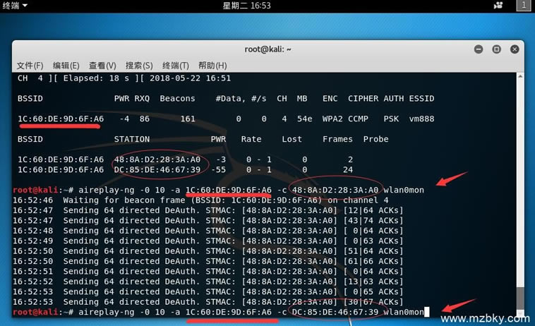 ʹKali Linux ƽwifiϸ