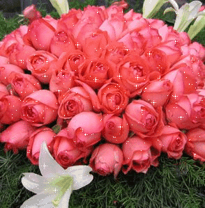 ƄӼͥM_Ƅӌͥںײ_ЇƄӼͥӴ}