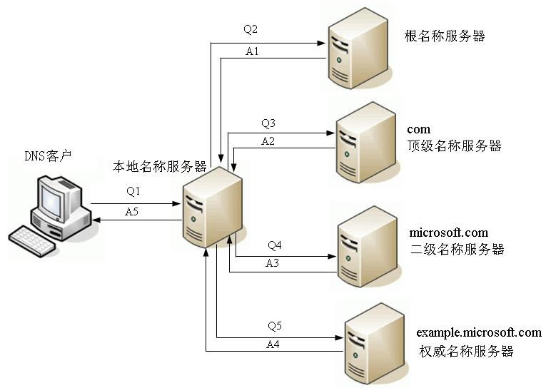 vue·D_dns(fast dns_·Л]dns