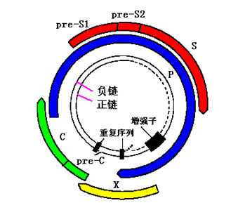 ɱ߾磬쳬3_ȫ_