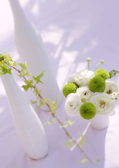 ڹڼɱܣѶԹܼ_ȫ_