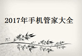 2017ֻܼҴȫ