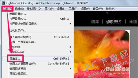 adobe photoshop lightroomƽεPDFļ