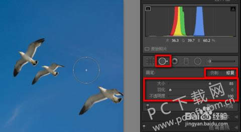 adobe photoshop lightroomƽ۵ɾͼϸ̳