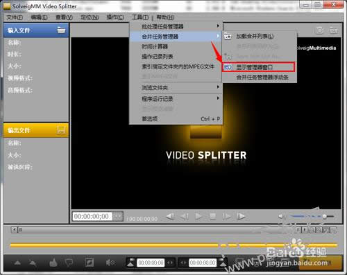 SolveigMM Video Splitter(Ƶиϳ)̳