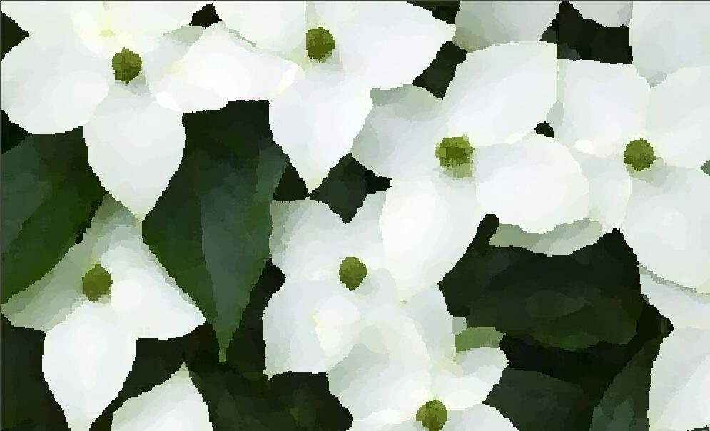 FastStone CaptureνƬͻ-Ƭͻ취