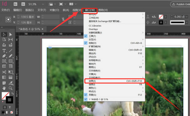 Indesignô޸ͼƬЧ-Indesign޸ͼƬЧ̳ - վѶ