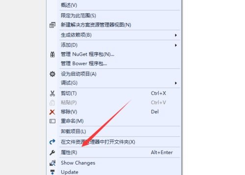 Visual Studio 2019IIS-Visual Studio 2019IIS̳ - վѶ