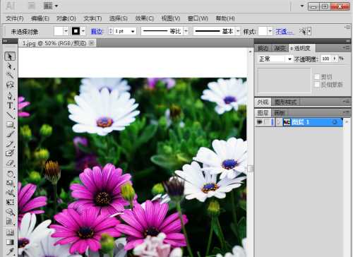 AI 2017ôͼƬɰ˾-Adobe IllustratorCC̳ - վѶ