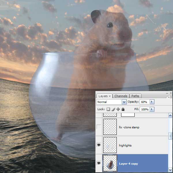 PSϳɺ󴬳-PSϳɿɰĺ󴬳̳ - վѶ