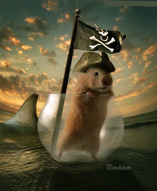 PSϳɺ󴬳?PSϳɿɰĺ󴬳̳