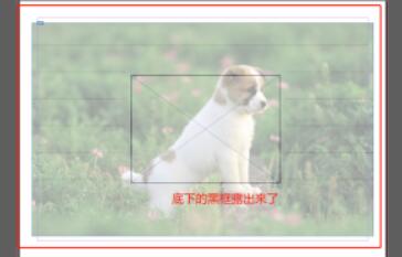 Indesign͸ȷ