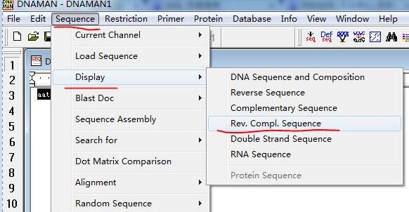 DNAMANõ򻥲DNA