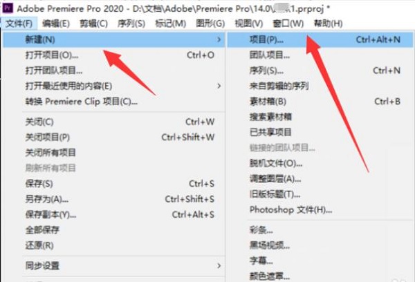 Premiere Pro 2020תЧ