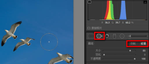lightroom۵ȥʹù̽