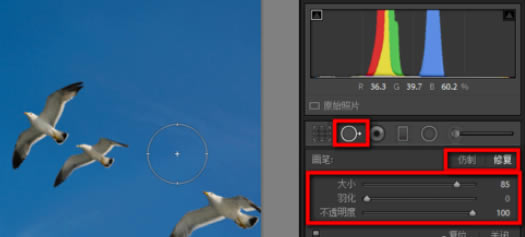 lightroom۵ȥʹù̽