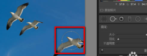 Lightroom۵ɾʹͼĽ̷̳