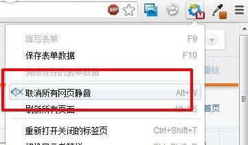 ȸ(Google Chrome)ҳûϸ