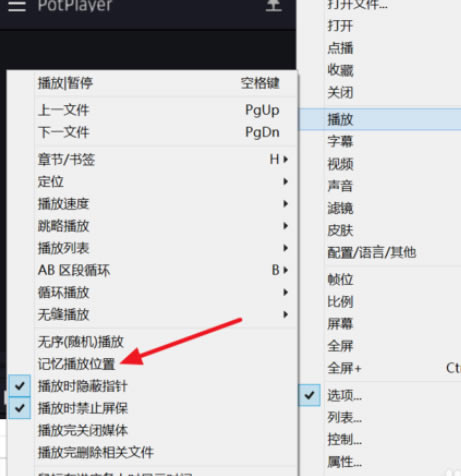 PotPlayerԶ䲥λõľð취
