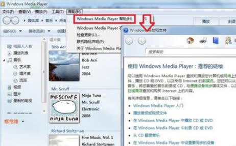 ôWindows Media Playerר